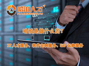 2017廈門哈泊視角下軟件外包行業(yè)前景分析