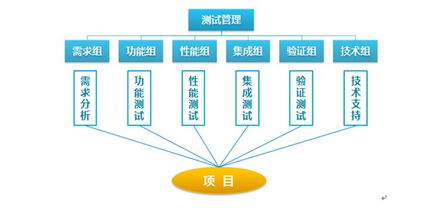 專業(yè)測試與軟件外包 雙輪驅(qū)動(dòng)，賦能企業(yè)數(shù)字化轉(zhuǎn)型